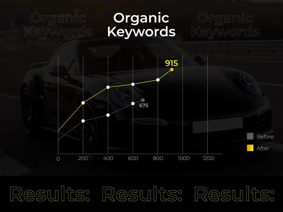 Search Engine Optimization